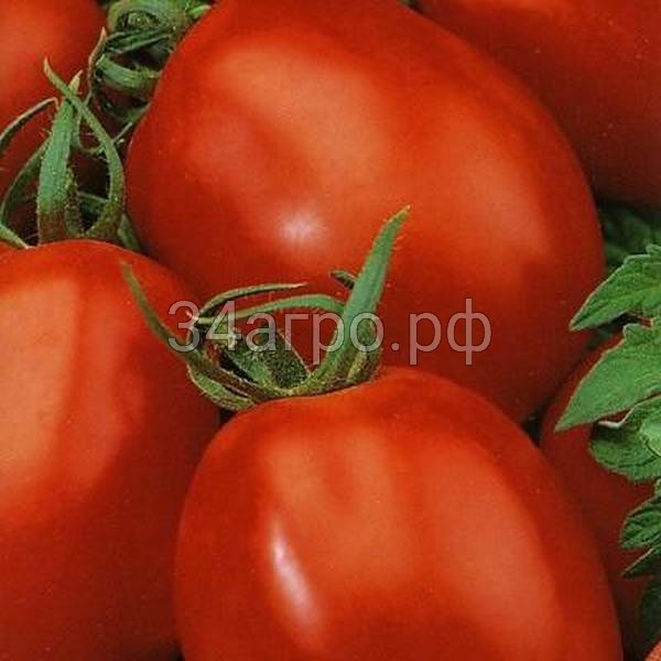 Томат Кадет 1 кг