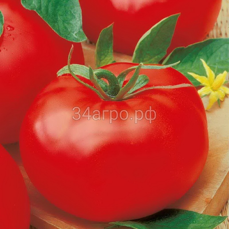 Томат Подарочный 20 гр.