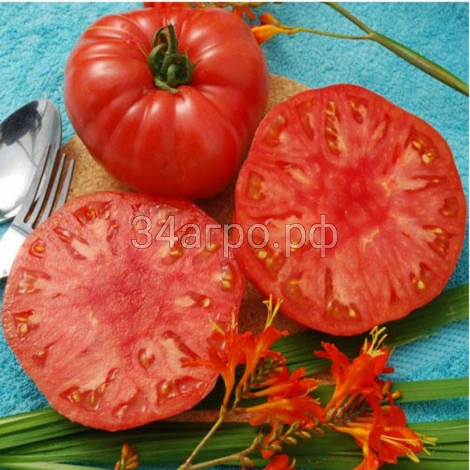 Томат Гигант красный 100 гр.