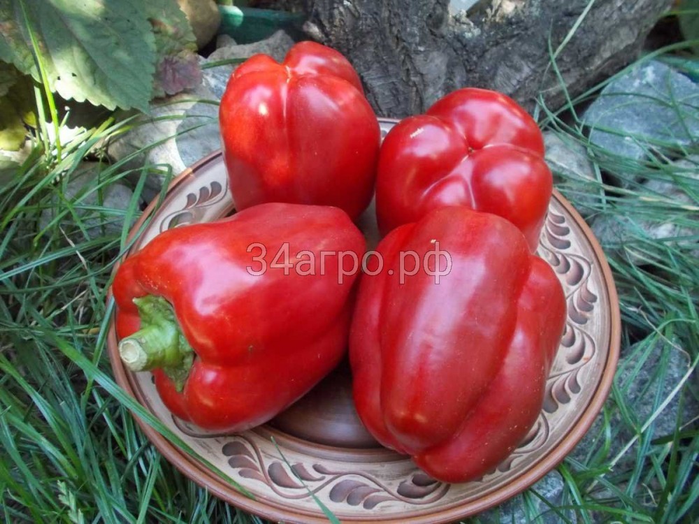 Перец Калифорнийское Чудо 100 гр.