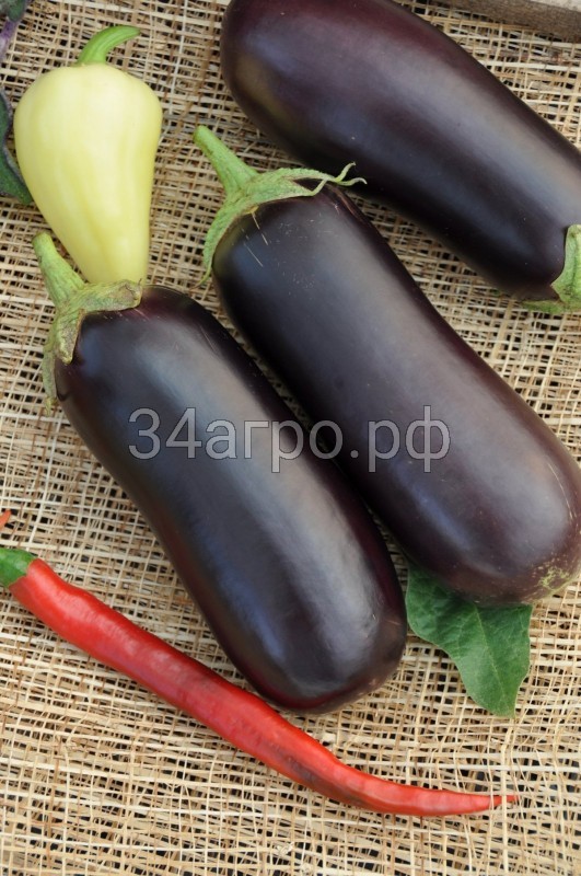 Баклажан Галич 20 гр.