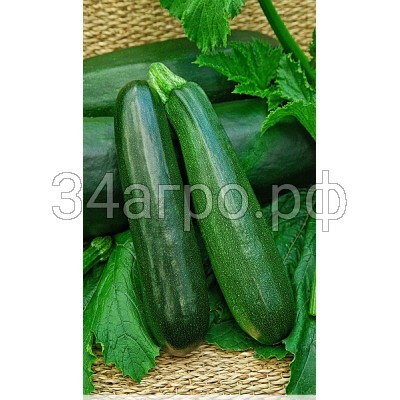 Кабачок цуккини Аэронавт 50 гр.