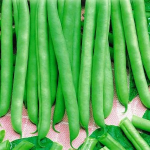 Фасоль Сакса без волокна 615 100 гр.