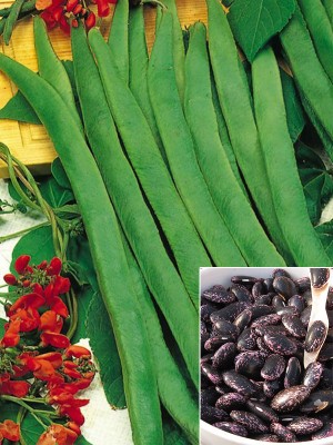 Фасоль Победитель 1 кг