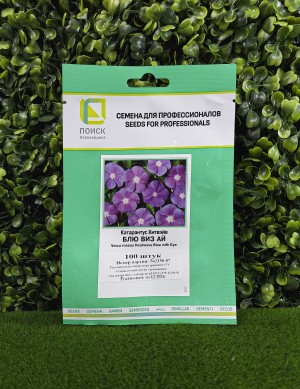 Катарантус Хитвэйв Блю Виз Ай 100 семян