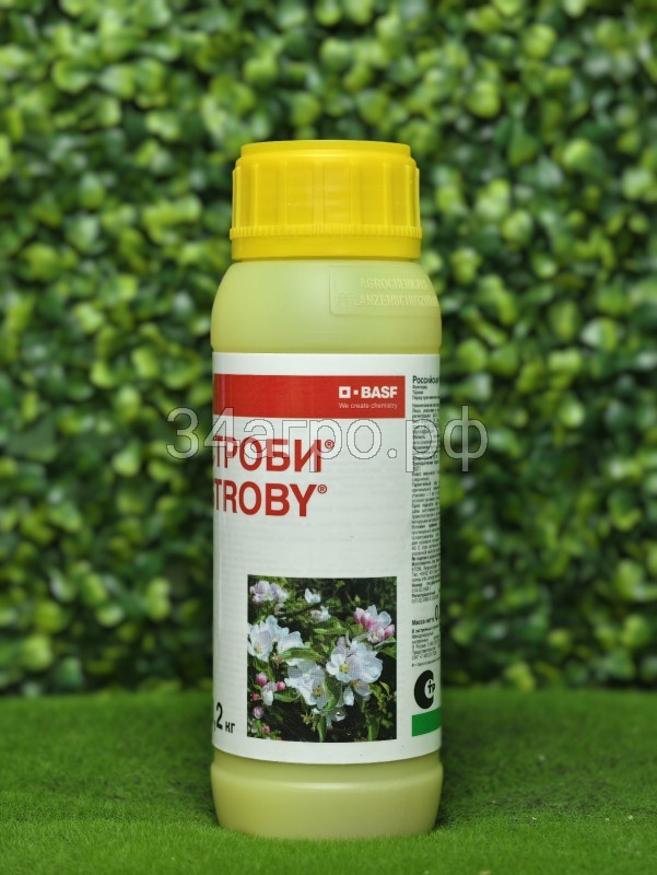 Фунгицид Строби 200 гр.