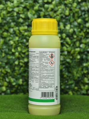 Фунгицид Строби 200 гр.