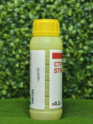 Фунгицид Строби 200 гр.