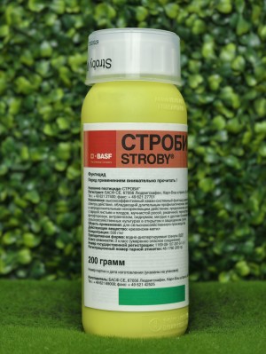 Фунгицид Строби 200 гр.