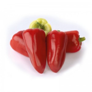 Перец сладкий Ростовский Юбилейный 50 гр.