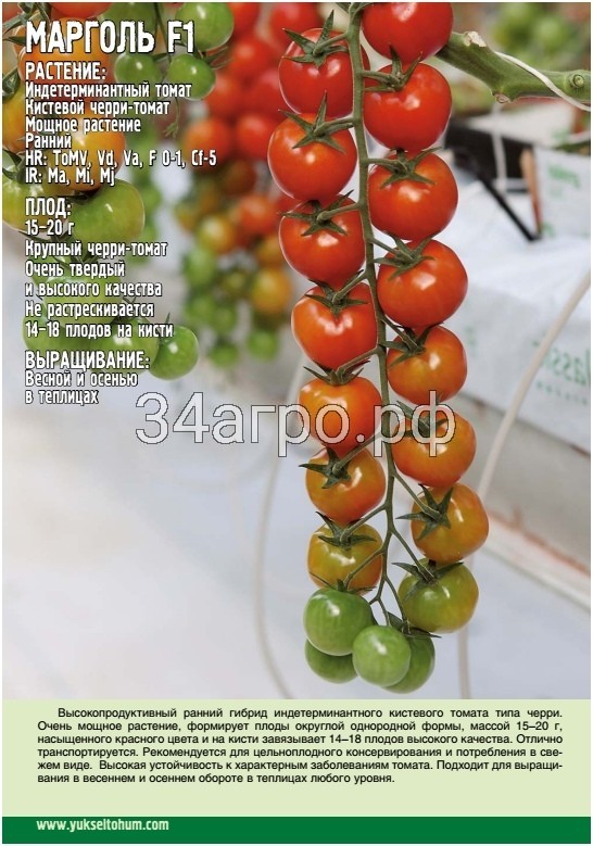 Томат Марголь F1 10 семян