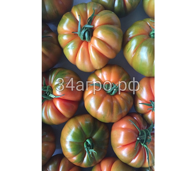 Томат Ред Кой F1 10 семян