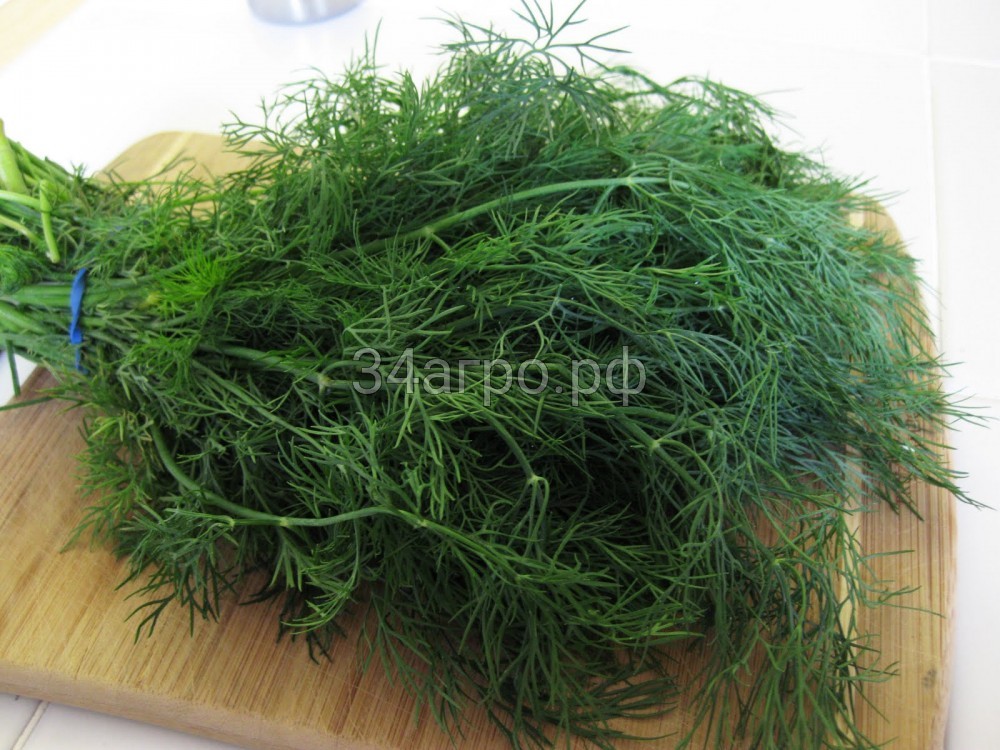 Укроп Мамонт 1 кг.