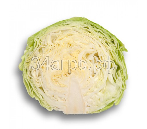 Капуста белокочанная Адема F1 2500 семян