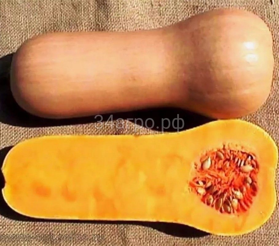 Тыква Атлас F1 100 семян