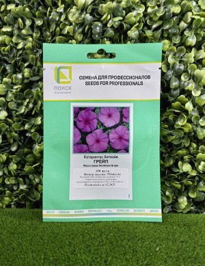 Катарантус Хитвэйв Грейп 100 семян