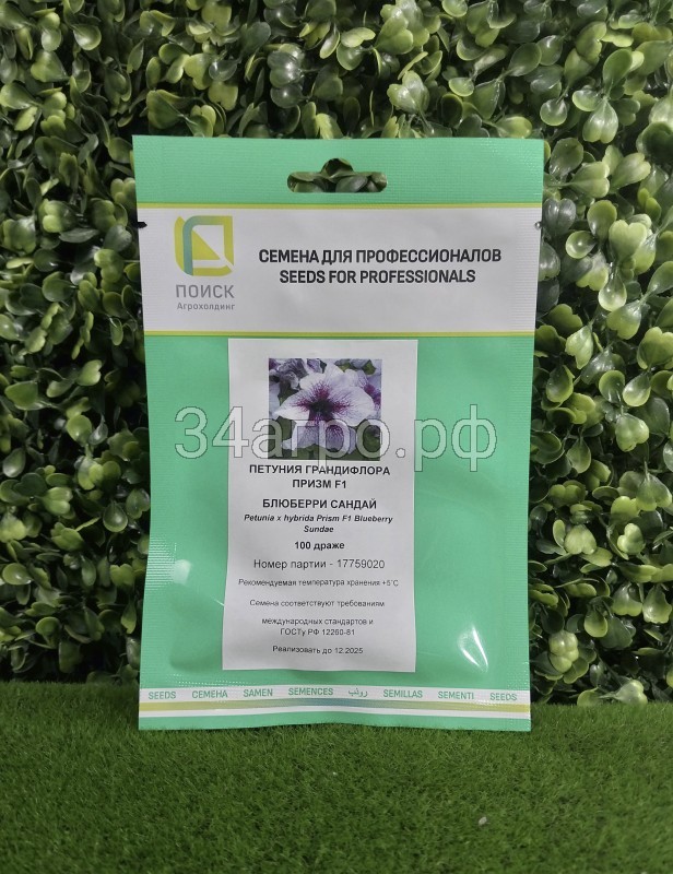 Петуния грандифлора Призм F1 Распберри Сандай 100 драже