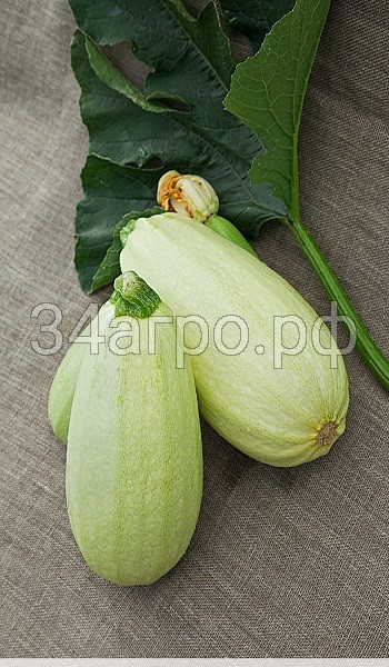 Кабачок Ролик 20 гр.