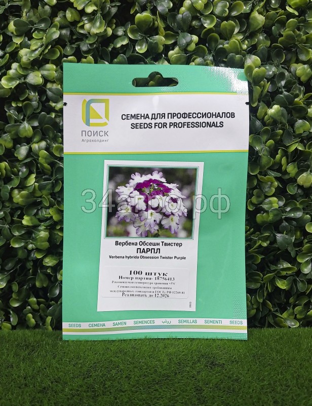 Вербена Обсешн Твистер Парпл 100 семян