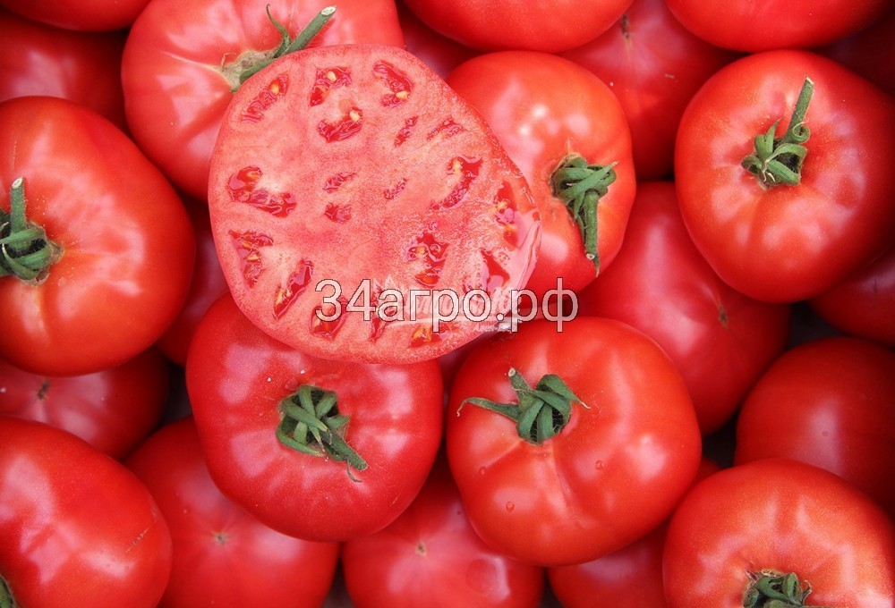 Томат Афен F1 10 семян