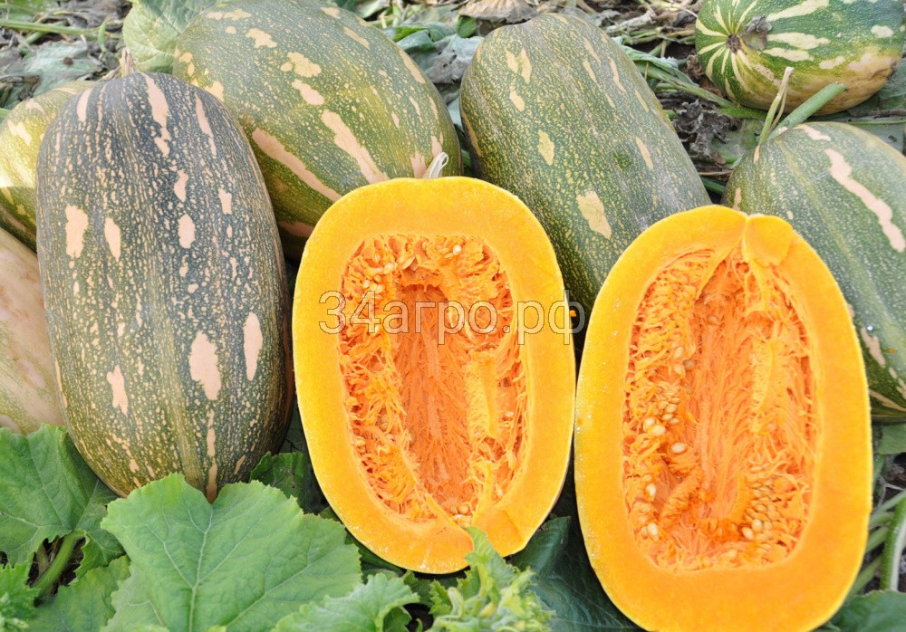 Тыква Витаминная 1 кг