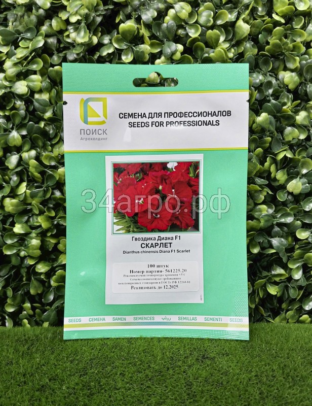 Гвоздика Диана Скарлет 100 семян