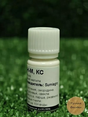 Фунгицид Топсин-М 10 мл