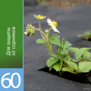 Чёрный укрывной материал 60 (Спанбонд) 3,2м*10м