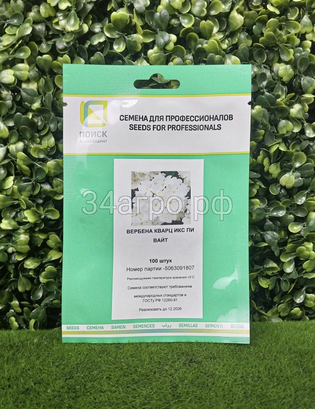 Вербена Кварц ИксПи Вайт 100 семян