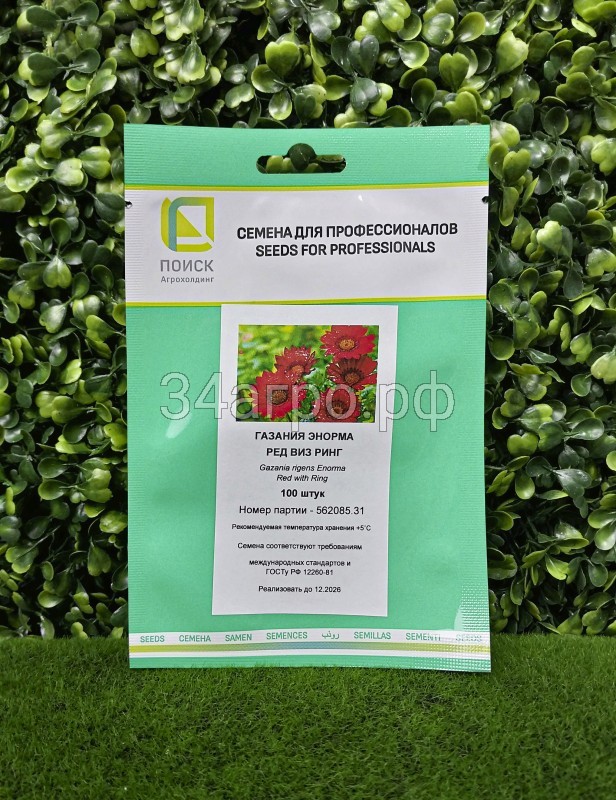 Газания Энорма Ред виз Ринг 100 семян