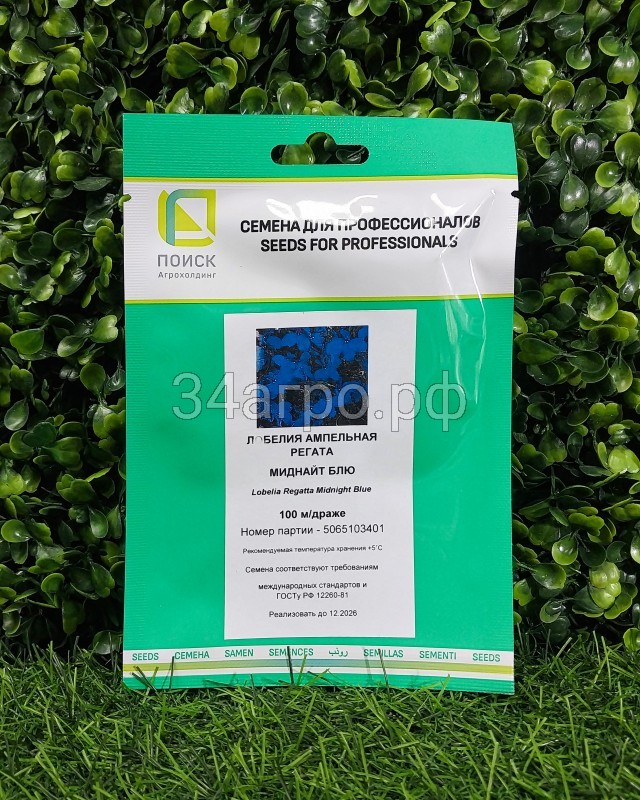 Лобелия ампельная Регата Миднайт Блю 100 драже