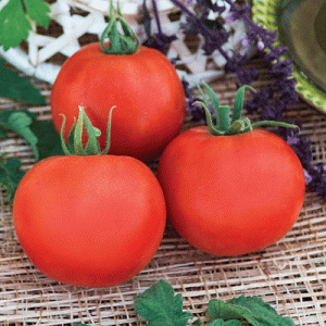 Томат Финиш 50 гр.