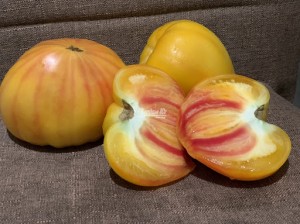 Томат Мадрид F1 1000 семян