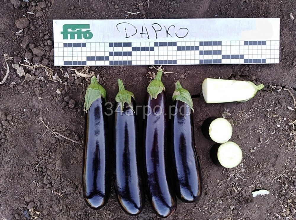 Баклажан Дарко F1 1000 семян