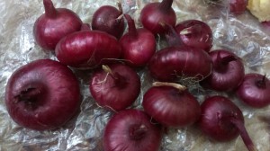 Лук Ялтинский красный 500г