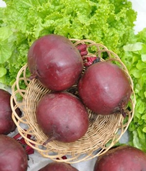 Свекла Червона Кула 100г