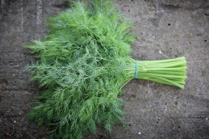 Укроп Супер Дукат 50 гр.