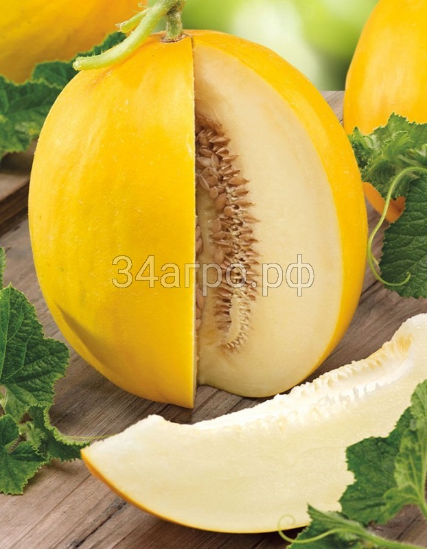 Дыня Сказка 20 гр.