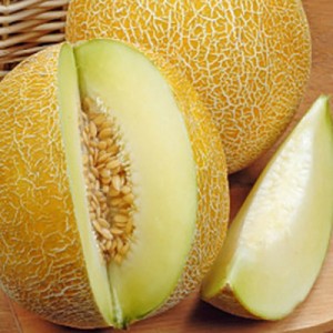 Дыня Млада 100 гр.