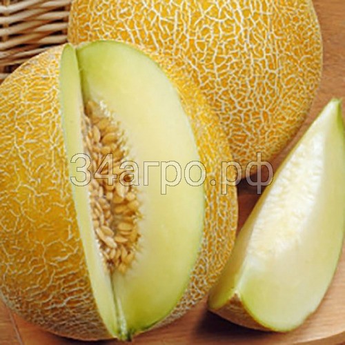 Дыня Млада 50 гр.