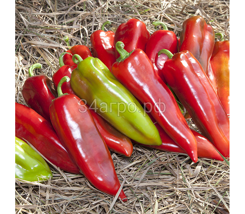 Перец сладкий Шинако (KS 2458) F1 25 семян