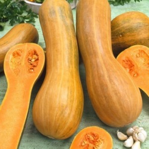 Тыква мускатная Арабатская 50 гр.