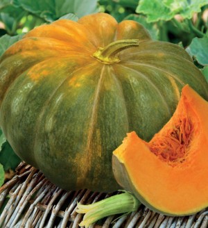 Тыква мускатная Мускадэ агро 100 гр.