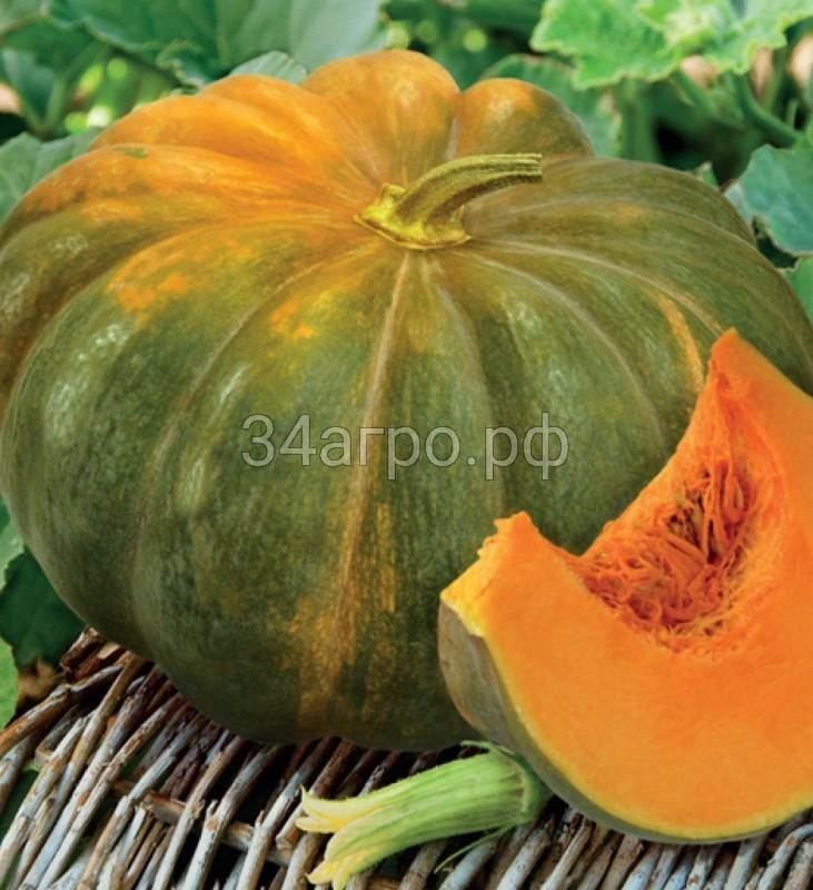 Тыква мускатная Мускадэ агро 1кг