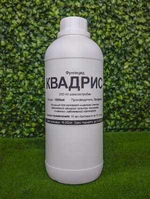 Фунгицид Квадрис 1 л