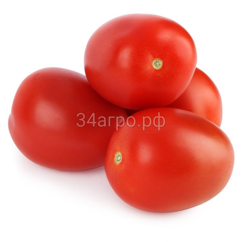 Томат Олвато F1 100 семян