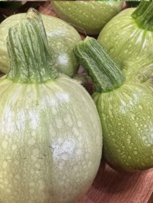 Кабачок (круглый светло-зелёный) Наида F1 250 семян