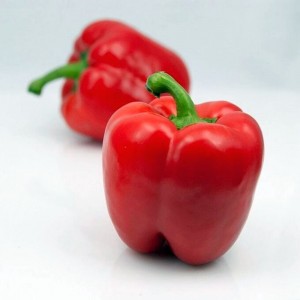 Перец Катан F1 500 семян