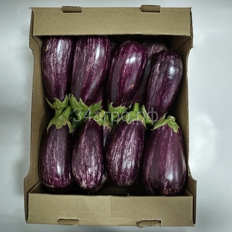 Баклажан ЕГ20003 F1 (EG20003 F1) 100 семян