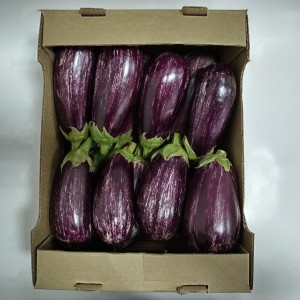 Баклажан ЕГ20003 F1 (EG20003 F1) 50 семян